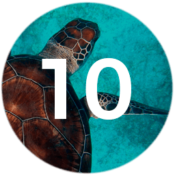 Imagen nota para 10