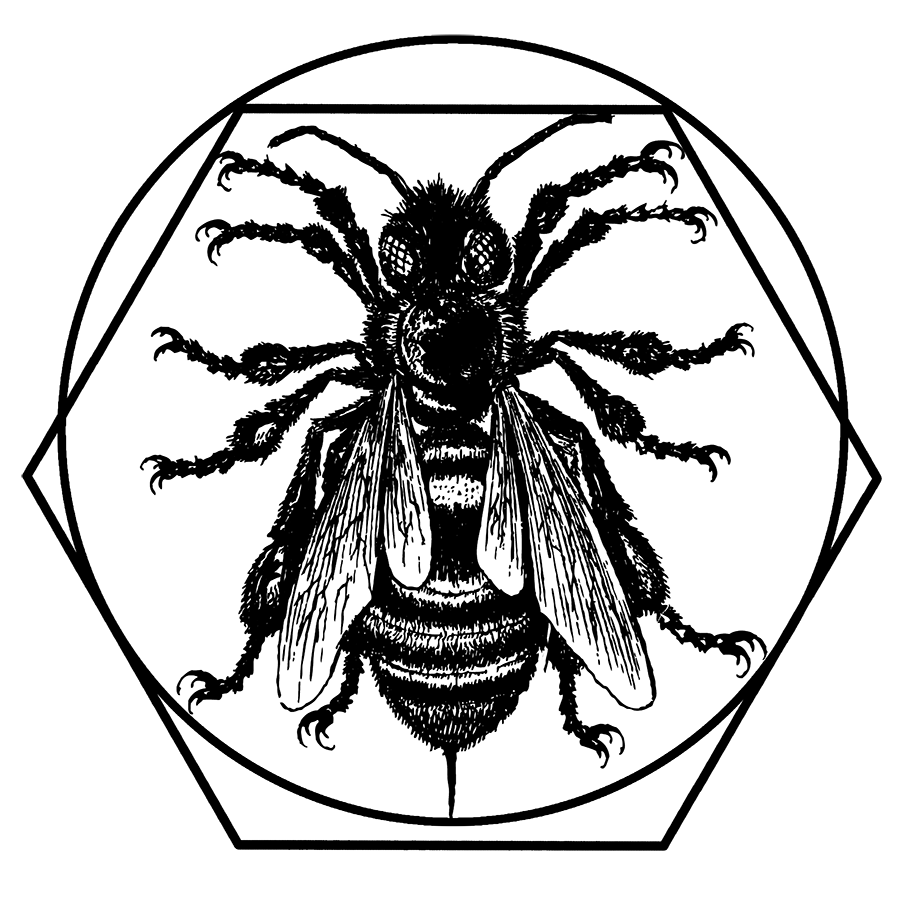 Logotipo de Beetruvian