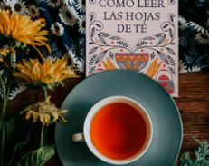 
         Destacada 1 de los libros especializados