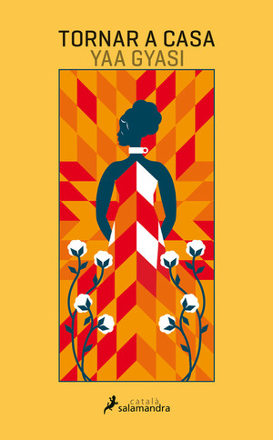 Portada libro - Volver a casa