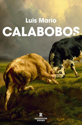 Portada libro - Calabobos
