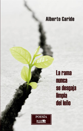 Portada libro - La rama nunca de desgaja limpia del leño