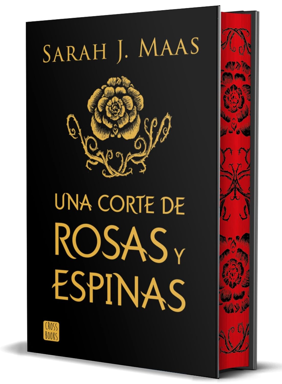 Cover from Una corte de rosas y espinas 